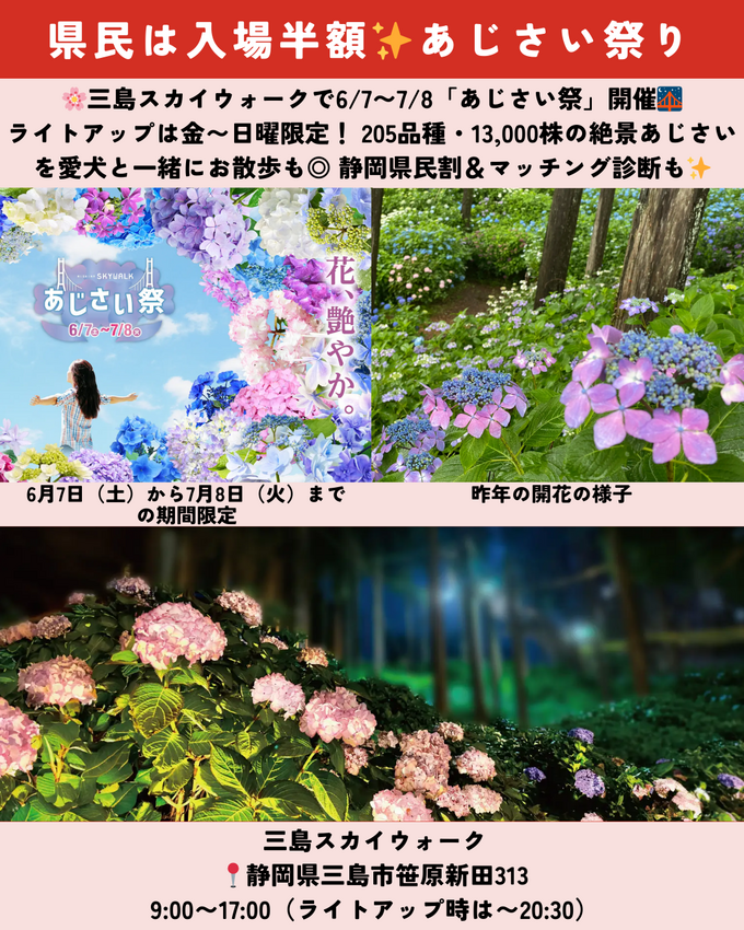 0510静岡ニュース (3).png