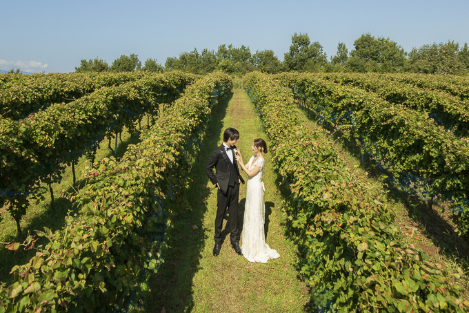 大人気YouTuber・あさぎーにょの「夢の結婚式」動画で話題沸騰!【伊豆市】広大なぶどう畑でロマンあふれるウェディング&フォトを