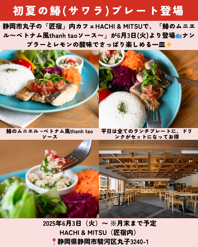 0607静岡ニュース (5).png