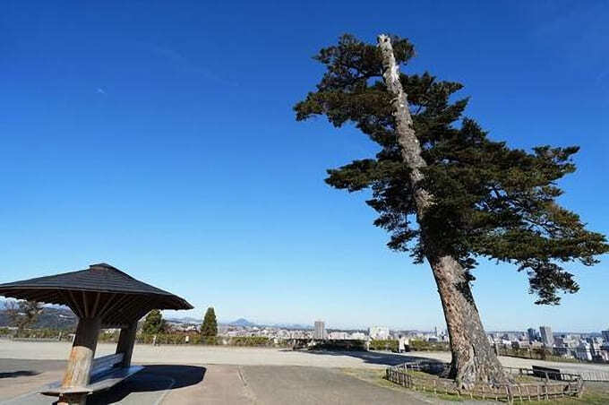 青葉山公園 (1).jpg