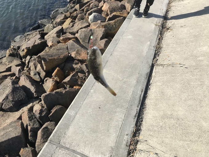 6月多賀城釣り②.jpg
