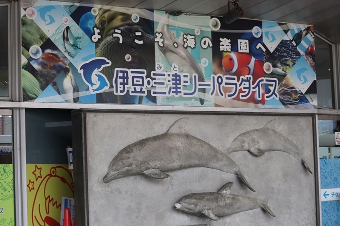 mitosea015.JPG