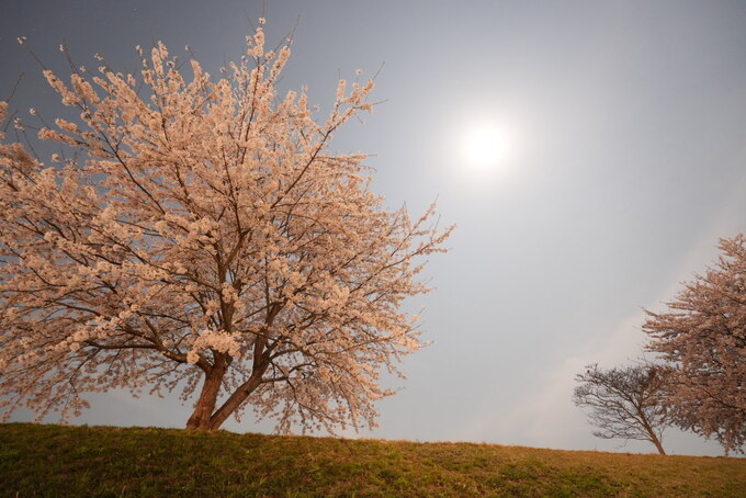 43F85DB6-EF6D-47F0-9107-E79189CA7DC8.jpeg