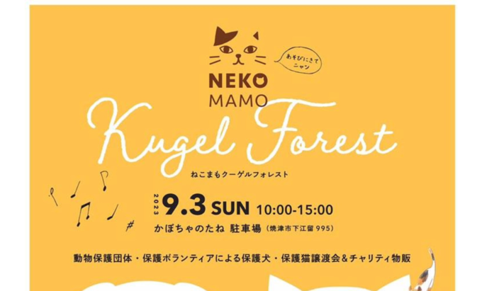 【焼津市】9月3日（日）保護犬・保護猫の譲渡会も同時開催『ねこまもクーゲルフォレスト』