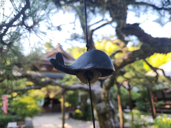 62  変わった形.jpg