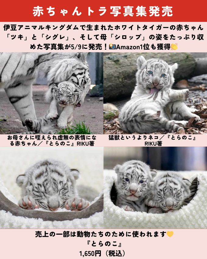 0510静岡ニュース (5).png