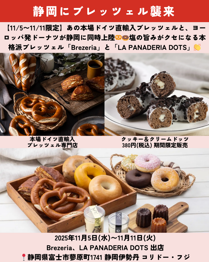 1101_静岡ニュース (11).png