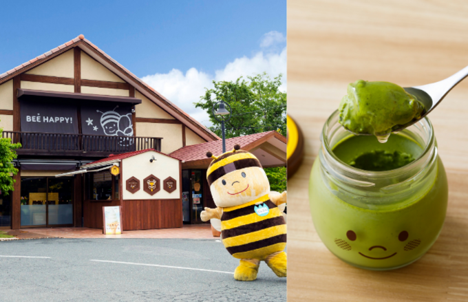 sub7.png