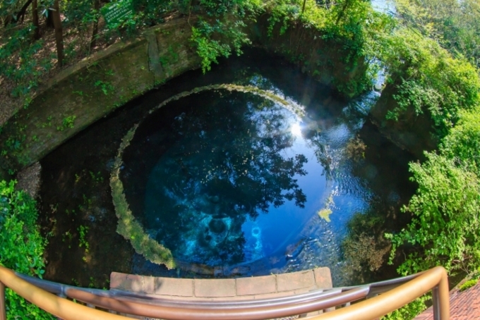 柿田川公園湧水.jpg