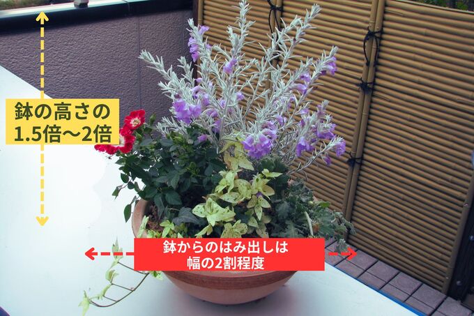寄せ植えが美しく見えるバランス.jpg