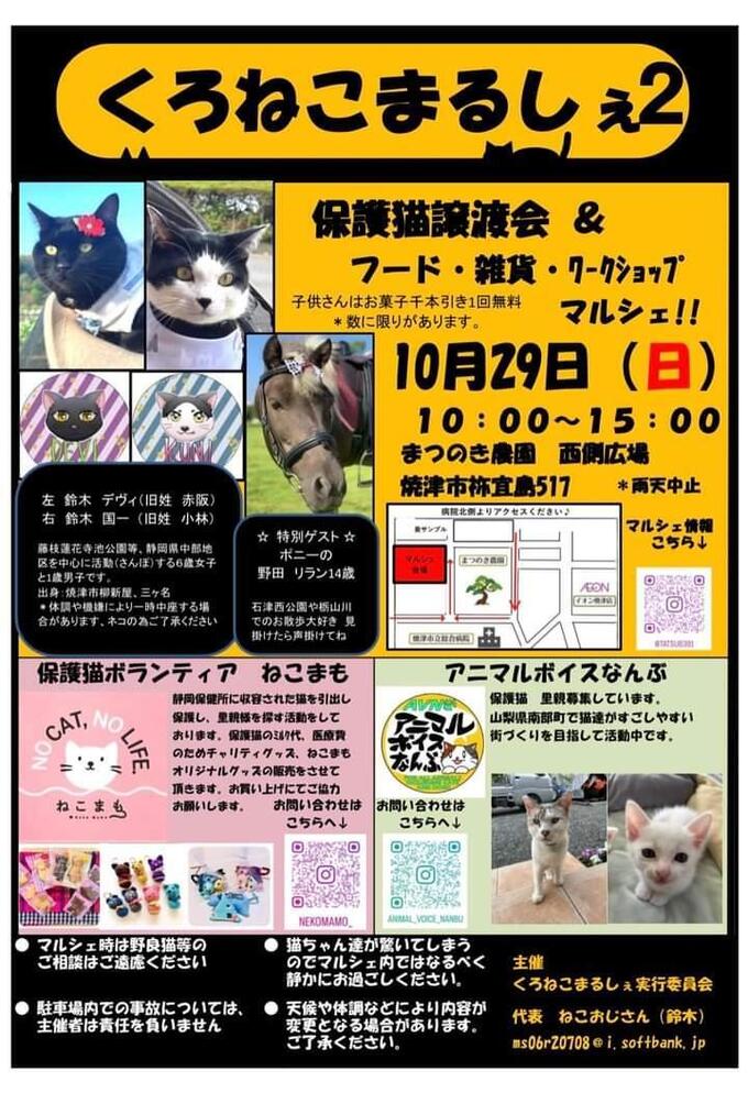 猫好きさん必見!ネコグッズ・保護猫譲渡会も開催!ポニーもくるよ♪【焼津市】くろねこマルシェ