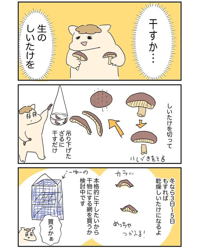 ダウンロード (17).jfif