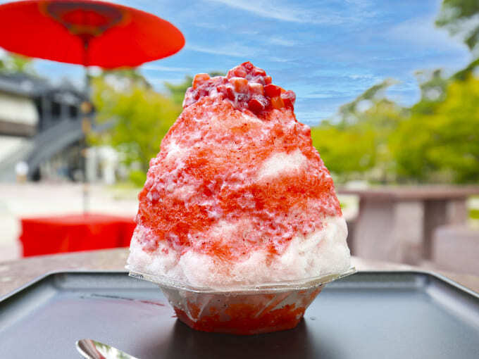 総重量2kgの海鮮丼!山形で大行列のかき氷!無料開放も【松島】今だけ「グルメ祭り!」仙台から1時間でも絶対行く!