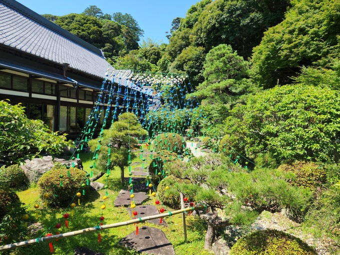 49富士山1 (1).jpg