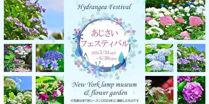 「映えまみれ！」梅雨も楽しくなっちゃう♪伊東で【あじさいフェスティバル】開催◎200種以上のあじさいとアンブレラスカイ