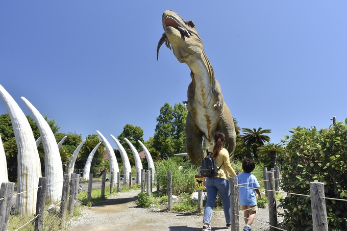 伊豆ぐらんぱる公園.JPG