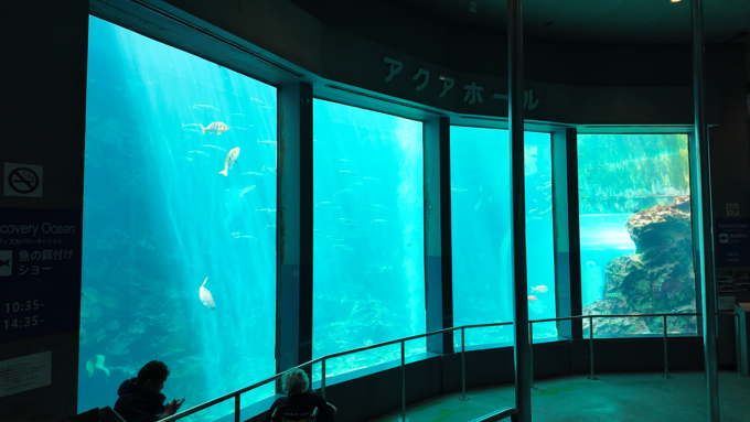 下田海中水族館_アクアホール1.png
