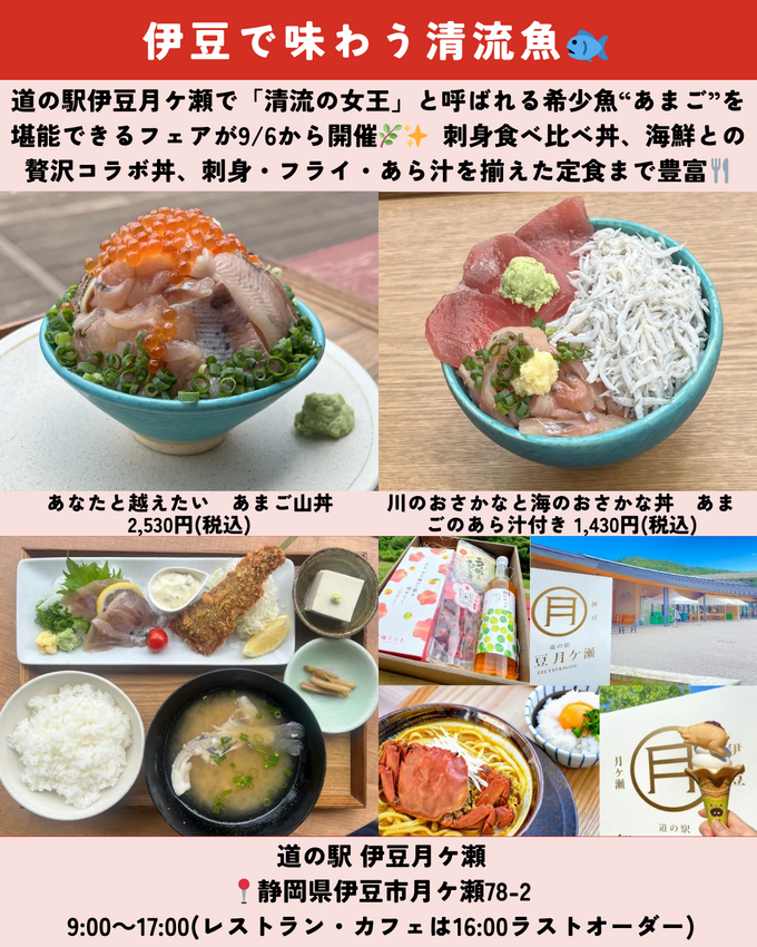 0906静岡ニュース (7).png