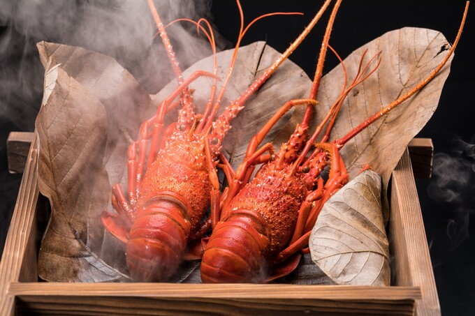 超豪華！伊勢海老が“2尾”付いてくる！？【南伊豆】「1日15食限定◎秋の味覚を堪能できちゃう」大判振る舞いな55周年記念の特別プラン