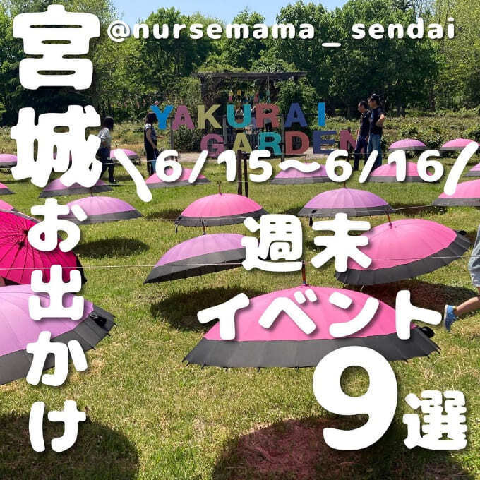 全部良すぎ〜(泣)今行くべき【宮城グルメ祭り】「ウニ箱詰め」「名店おにぎり」「タイ料理フェス」週末イベント9選