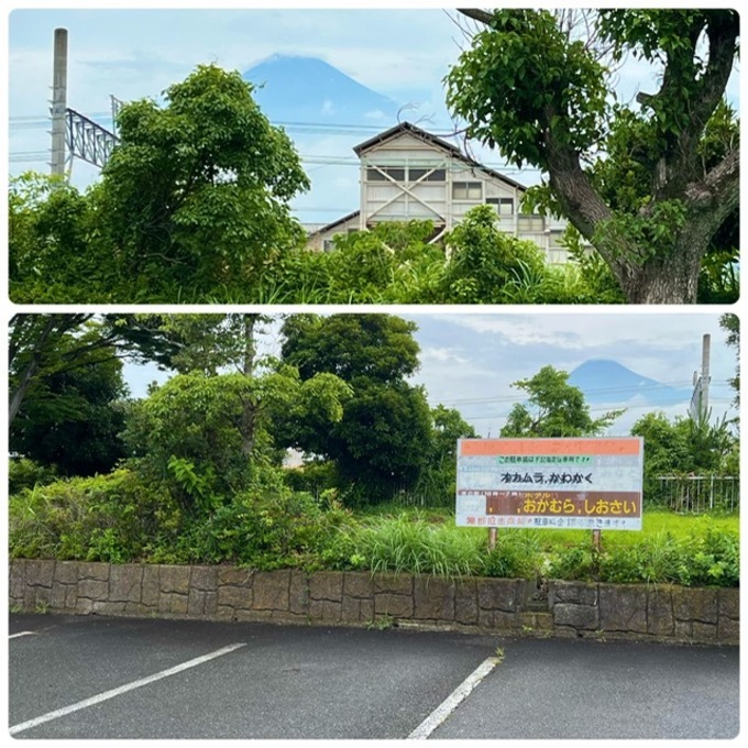 oka (6).jpeg
