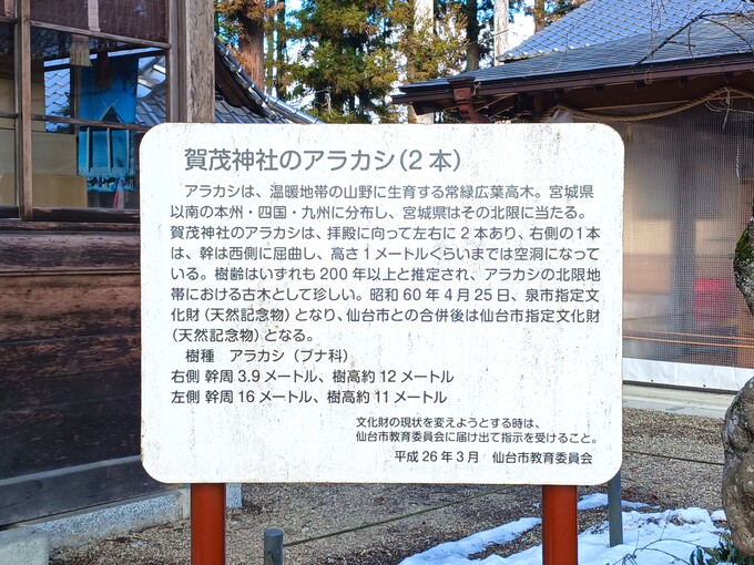 ★20240307_134539.jpg
