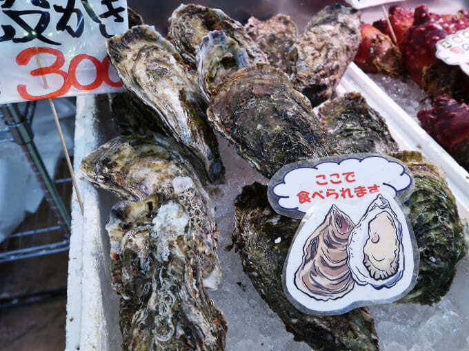 60cf09d8-6b68-4834-a093-e7a064400069 (1).jpg