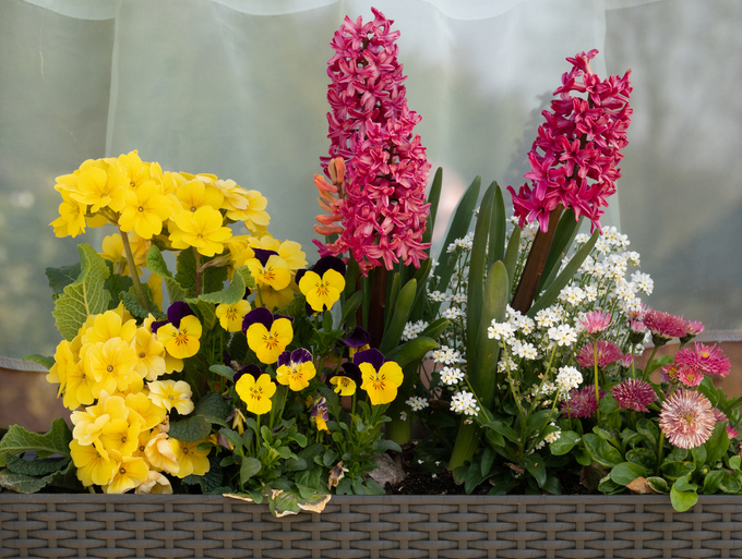 iStock-1220675575.jpg