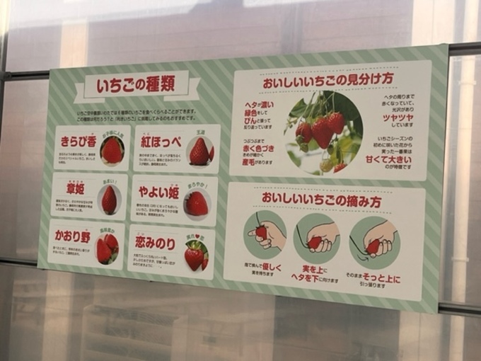 image0[3129].jpeg