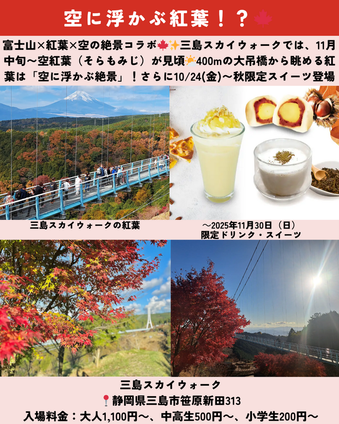 1025_静岡ニュース (8).png