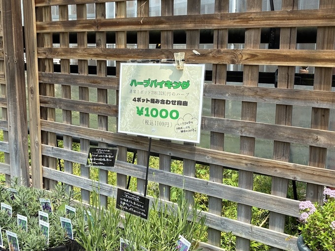 GGハーブセット売り.jpg
