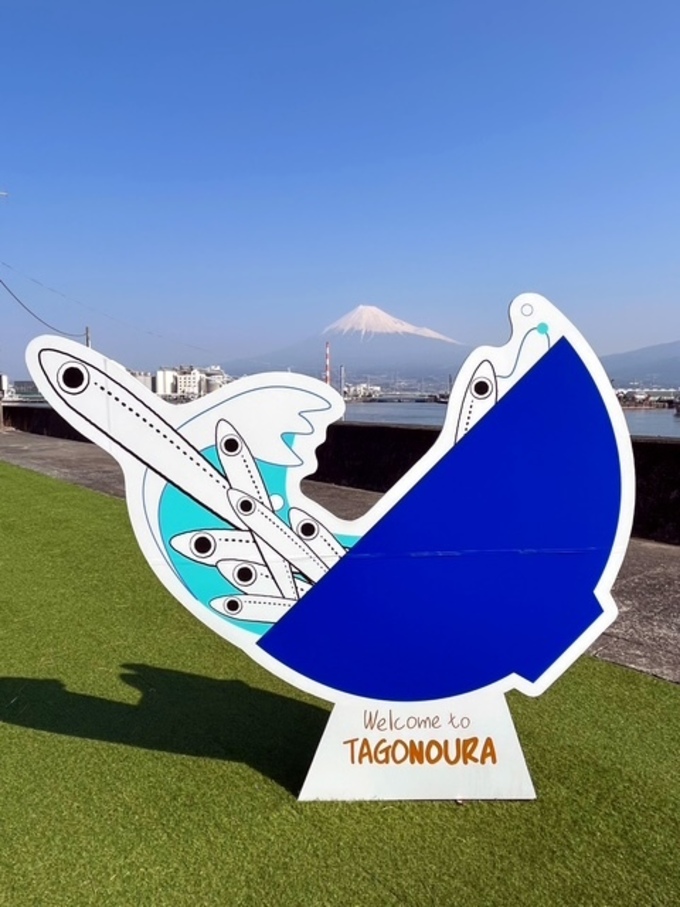 tago.jpeg