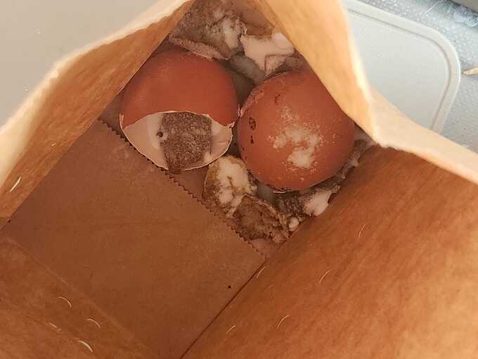 生ごみにぶっかけ.jpg