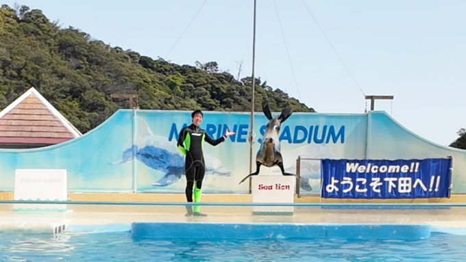 下田海中水族館_アシカショー1.png