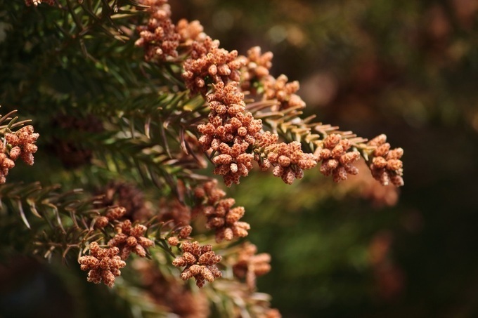 680x_1308578e-eef2-474f-a9a2-34df496cef3d.jpg