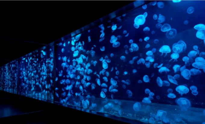 スクリーンショット 2023-12-11 10.14.53.png