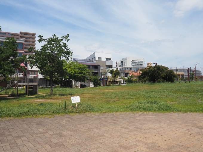 IMG_1564.jpeg