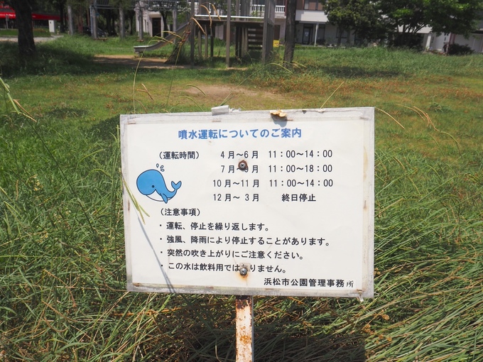 IMG_1565.jpeg