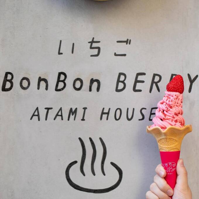 BonBonBERRYソフト.jpg