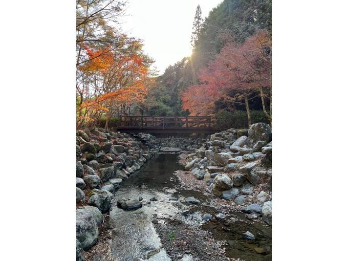 今なら紅葉間に合います。キャンプもできる自然たっぷりの公園【童子沢(わっぱざわ)親水公園】