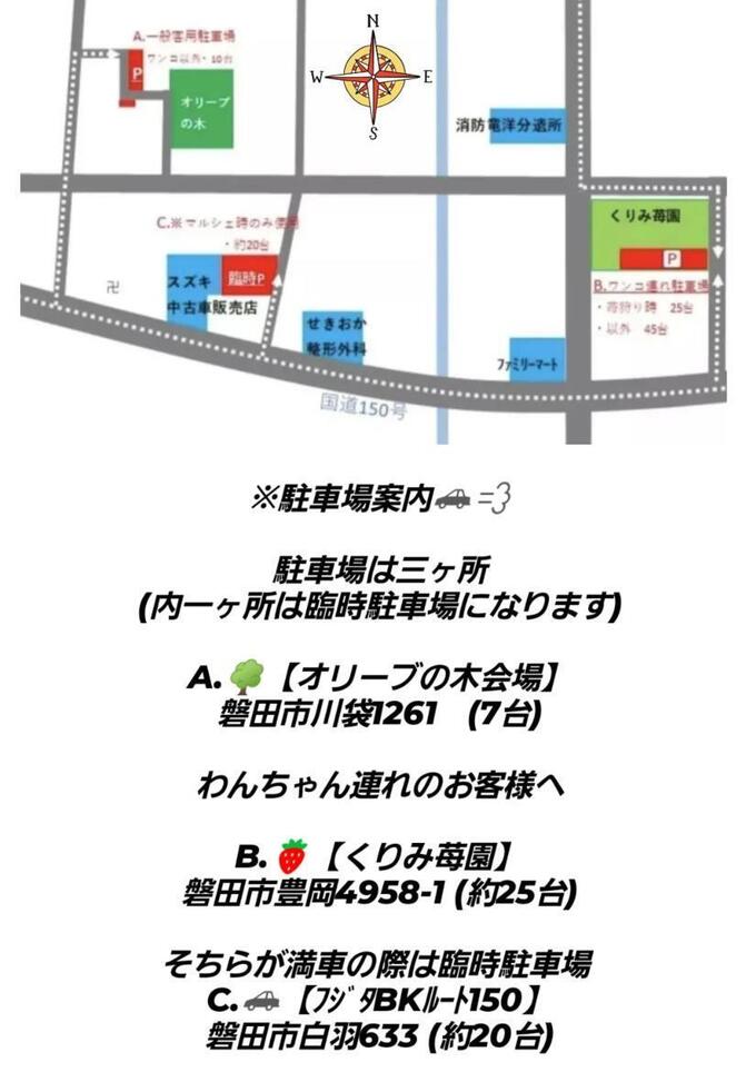 オリーブ (2).jpg