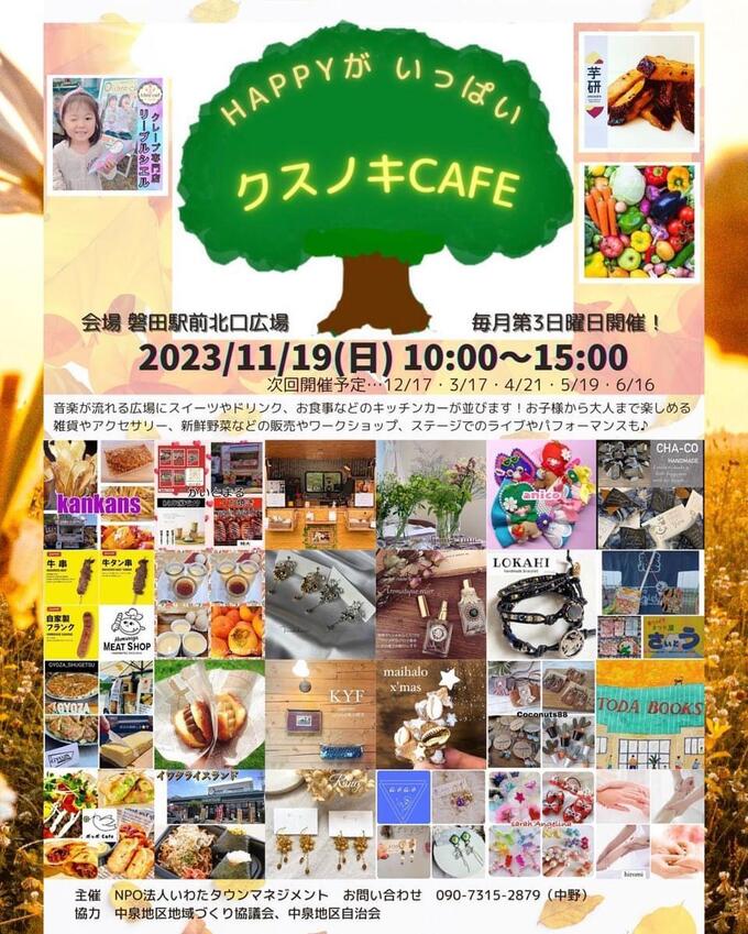 クスノキ (1).jpg