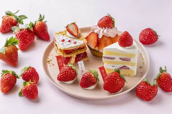 250309_bonbon2.webp