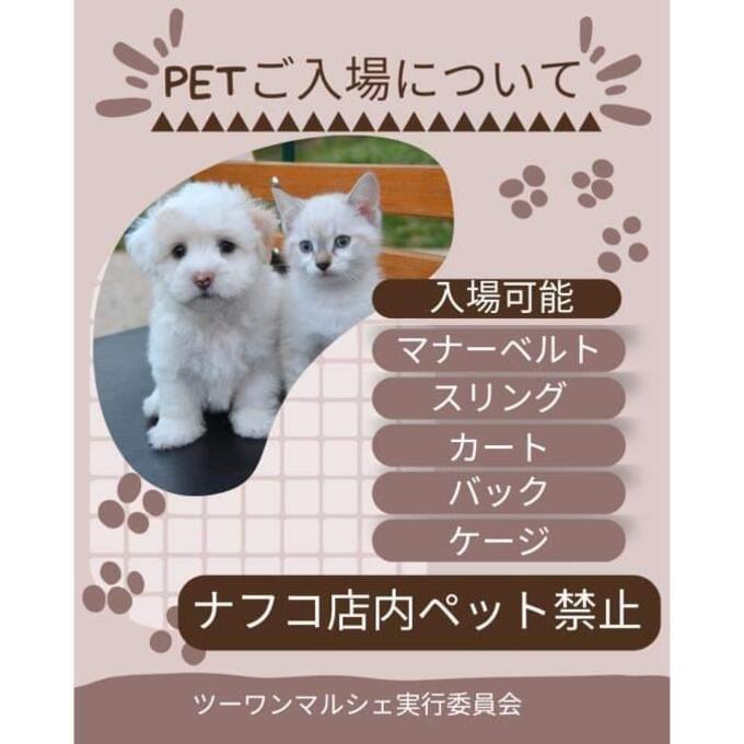 PET入場について.jpg