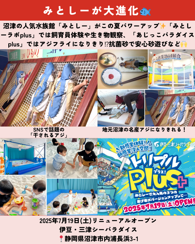 0719静岡ニュース (6).png
