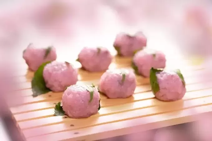 250215_sakura2.webp