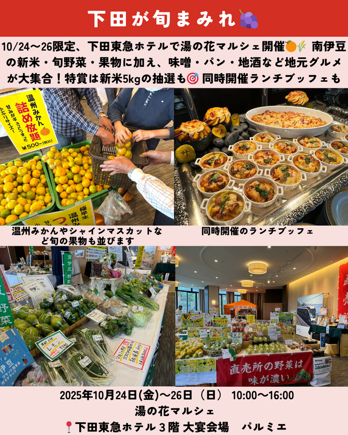 0927_静岡ニュース (8).png