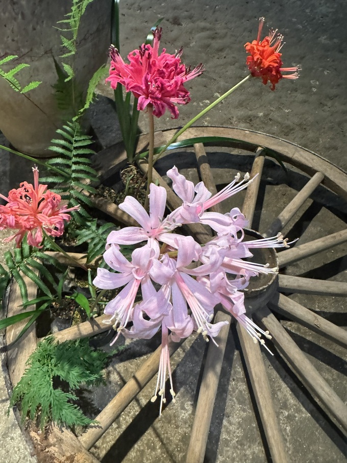 花①.jpg