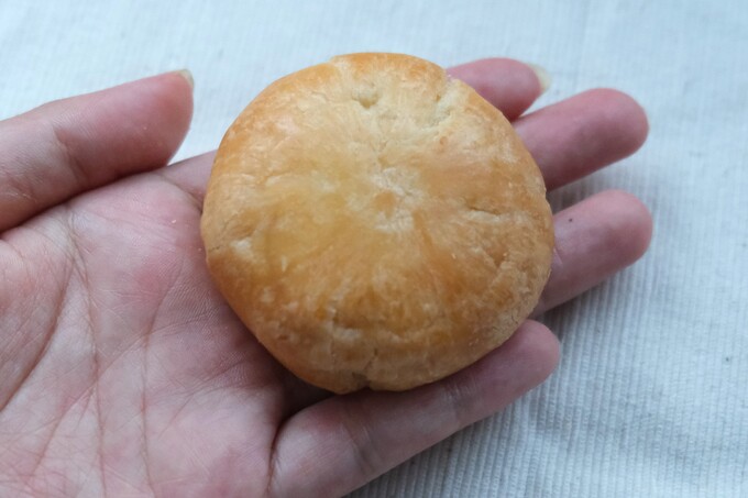 大地のパイキウイ①.jpg