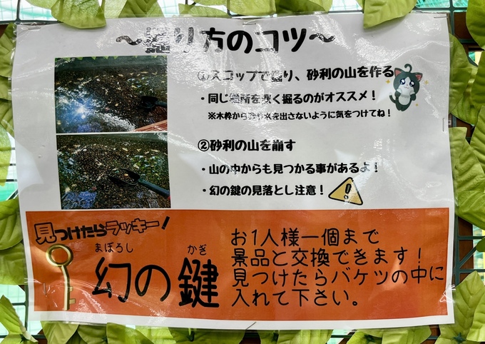 IMG_3625.jpeg